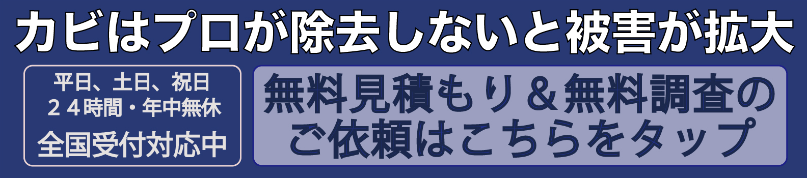 壁カビを正しく予防 カビが好むペンキと嫌いなペンキ カビ除去 カビ防止 ダクト清掃 カビラボ