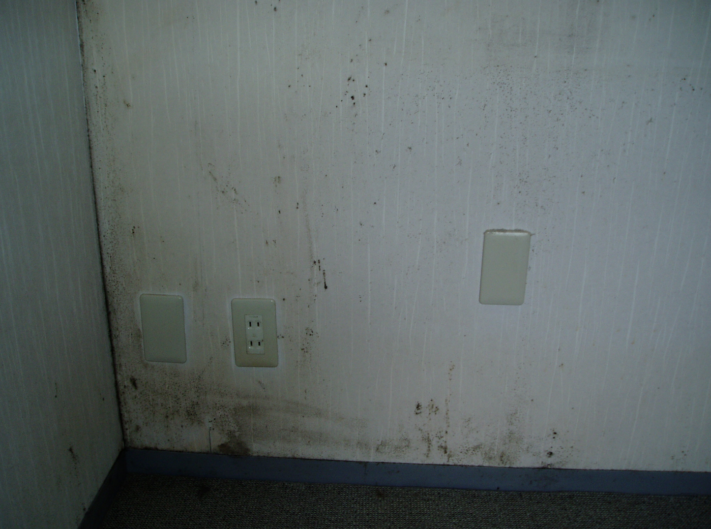 放置すると大変な事に 壁に出来たカビの原因と対策とは カビ除去 カビ防止 ダクト清掃 カビラボ