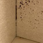 壁カビを発見した際の行動はコレ！除去と予防の為の掃除方法公開